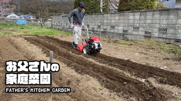 【ルンルンの裏庭】耕運機で畑を耕したお父さん【お父さんの家庭菜園】