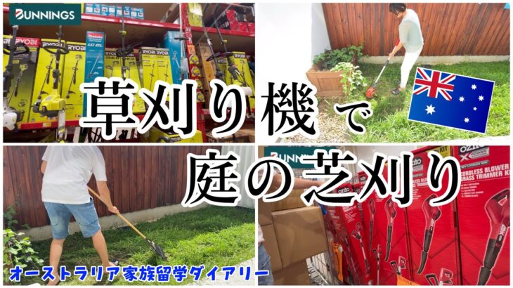 【家族留学】草刈り機を購入したら衝撃続きだった　#オーストラリア留学 #オーストラリア移住 #親子留学