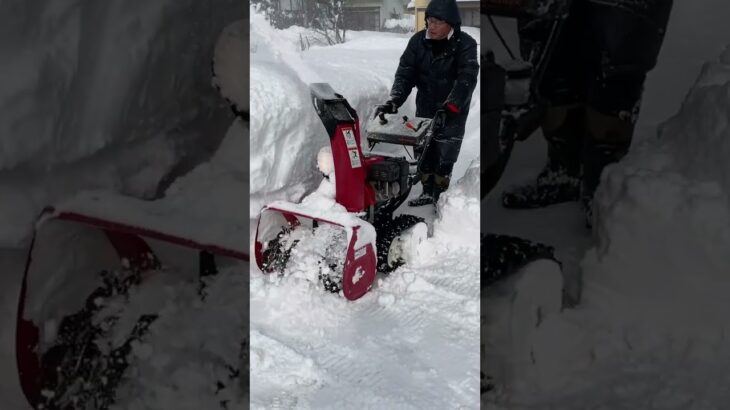 家庭用除雪機を使って雪を飛ばす！その２（ショート動画）