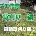 春先の草刈り(電動草刈り機使用)