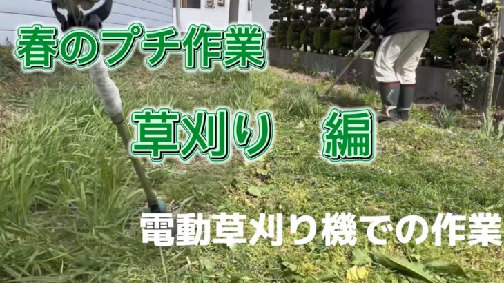 春先の草刈り(電動草刈り機使用)