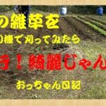 【家庭菜園】　078　雑草草取り第一弾終了　草刈り機の使い方？　おっちゃん日記