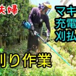 【庭師夫婦】#189 マキタ充電式刈払機での草刈り作業。