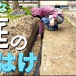 【お庭DIY】地中に排水パイプを埋めて水はけを劇的改善‼︎