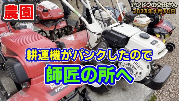 【家庭菜園・農業】耕運機がパンク！！ 地元の農機具屋さんでメンテナンス！ 「ホンダ ラッキー FU650 耕うん機」！ 老舗農機具屋の機械好き職人集団！