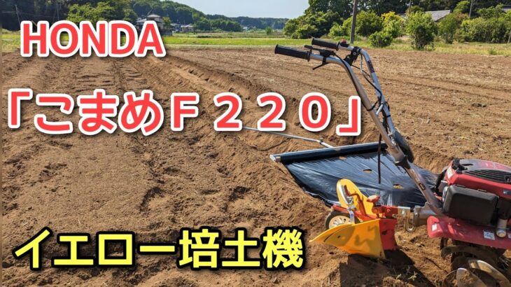 HONDA耕運機【こまめＦ220】イエロー培土機を使った「畝立て」の様子