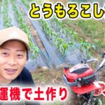 ミニ耕運機で土作りしてトウモロコシ植付け　小さいけどパワフルなプチなの紹介