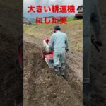 広いから大きい耕運機に変えてみた笑#畑仕事 #耕運機 #ヤンマー