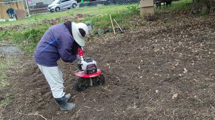 ヤンマーミニ耕運機出動開始です(^^)なかなか仕事してくれてますやん💦私は操作が下手くそだったので、してもらいました♥