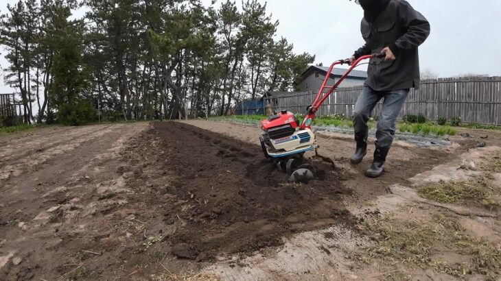 【畑初心者】年代物の耕運機で畑を耕してみた