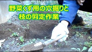 野菜くず用の穴掘りと枝の剪定作業　１２月２９日