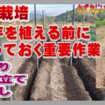 長芋の種芋を植える前にやっておく重要作業～溝堀り・支柱立て・埋戻し：2023年版長芋栽培