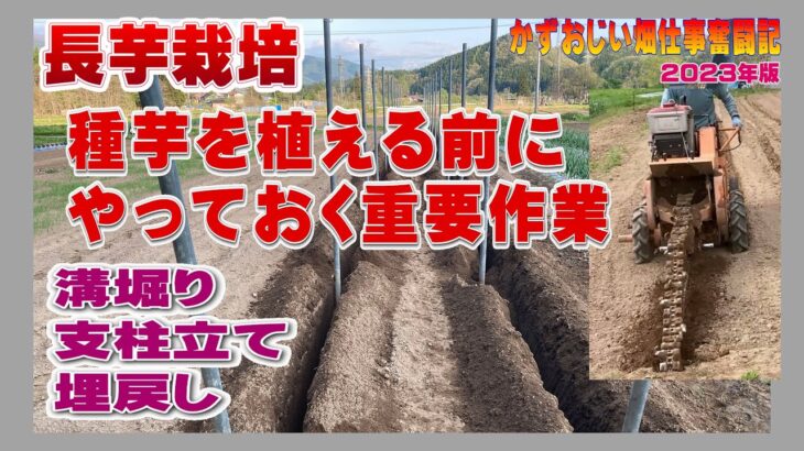 長芋の種芋を植える前にやっておく重要作業～溝堀り・支柱立て・埋戻し：2023年版長芋栽培