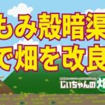 もみ殻で畑の排水性改善。水はけの悪い菜園や畑を籾殻で改善する方法。シャベルともみ殻の無料DIY、これで劇的に水はけがよくなる！