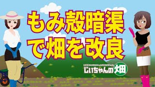 もみ殻で畑の排水性改善。水はけの悪い菜園や畑を籾殻で改善する方法。シャベルともみ殻の無料DIY、これで劇的に水はけがよくなる！