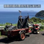 海側の畑を草刈り機と耕運機で草刈りをしました (Instagramの宣伝用に同時投稿しました)