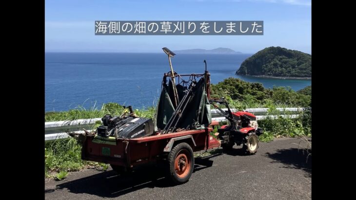 海側の畑を草刈り機と耕運機で草刈りをしました (Instagramの宣伝用に同時投稿しました)