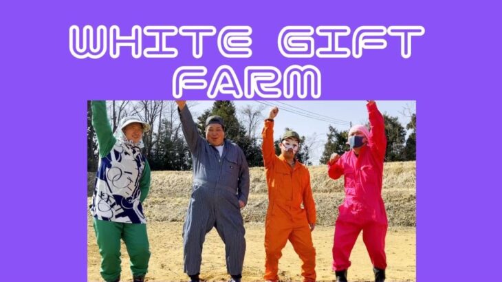WHITE GIFT FARM(ホワイトギフトファーム)　豆トラ(耕運機)で耕しました