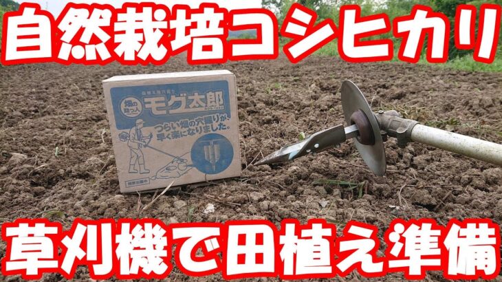 こんな田植えは見たことない～自然栽培コシヒカリの奇抜な田植え準備を行います。