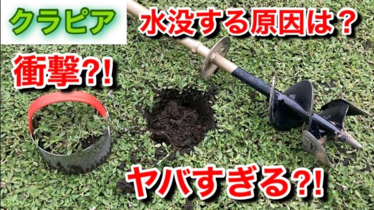 クラピア　大雨で水没する原因は？