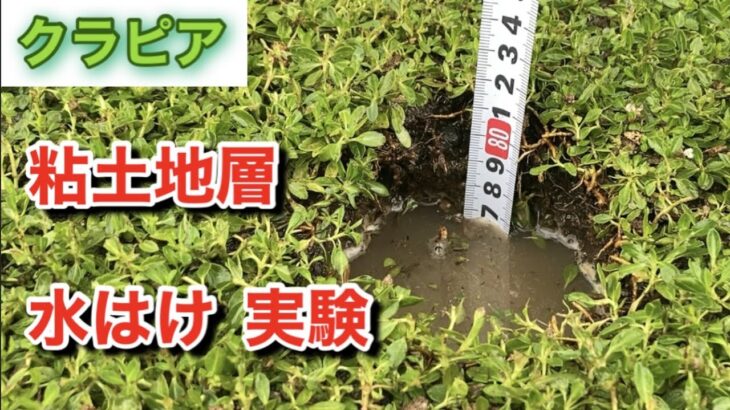 クラピア　粘土地層の水はけ実験⁉どのくらいで浸透するの⁉