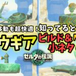 【ゼルダの伝説 ティアキン】初心者必見！新無限飛行方法も紹介！超快適になるゾナウギアビルド＆小技7選！【Zelda Tears of Kingdom】