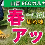 春のナイロンコード草刈りに 山善 ECOカルガード