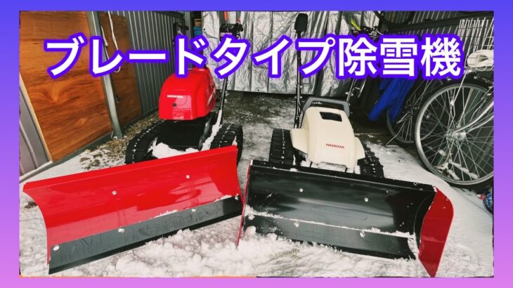 HONDA ユキオスSB800とユキオスe!を比べてみた‼️