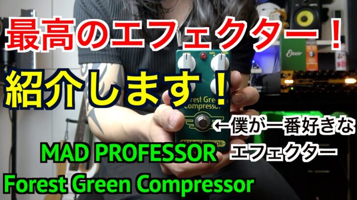 ベーシストにおすすめしたい僕が大好きなエフェクター！【MAD PROFESSOR/Forest Green Compressor】