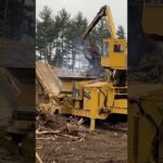 Massive wood chipper chips up anything.