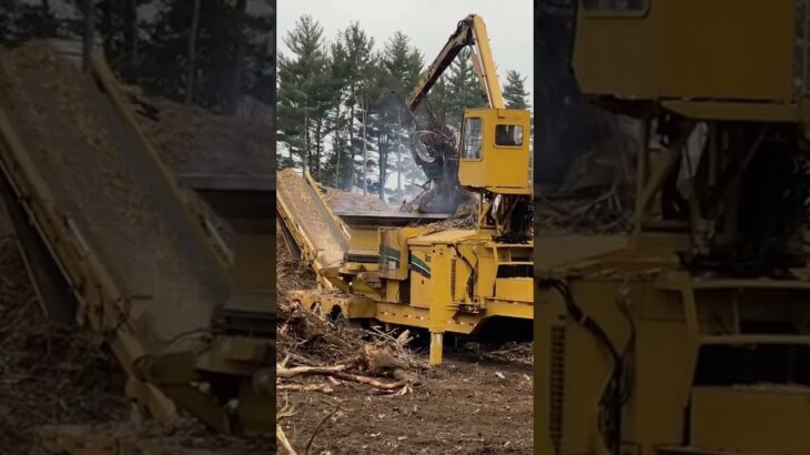 Massive wood chipper chips up anything.