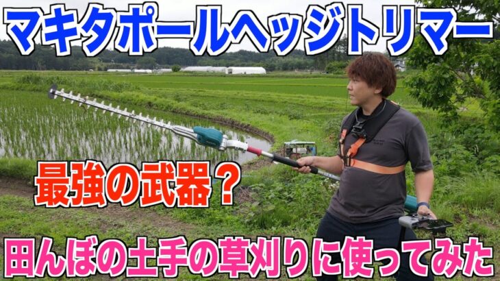 【マキタ】ポールヘッジトリマーで田んぼの土手の草刈りしました 略してPHT grass cutting  30代米作り奮闘記#220