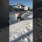 ハイガー　バッテリー式除雪機　SNE402