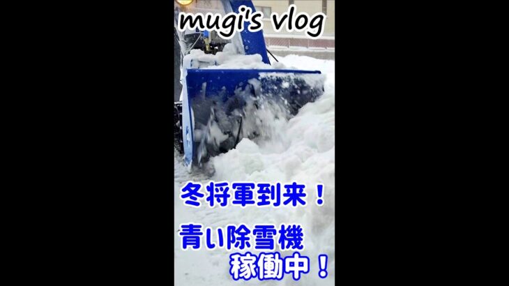 冬将軍到来！青い除雪機稼働中！#Shorts