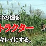 【草だらけの畑】YANMARアグリカA10-Vでスムーズに耕運する方法。