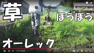 オーレック草刈り機