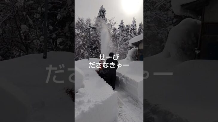 除雪機の整備しなきゃ❗️夏に冬を考える👍️