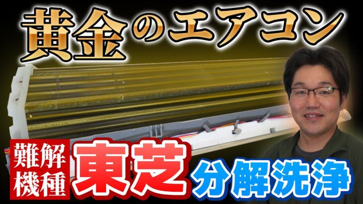 【東芝・お掃除機能付きエアコン】激ムズ機種「大清快」の分解洗浄をオタク過ぎるプロが神解説｜千葉