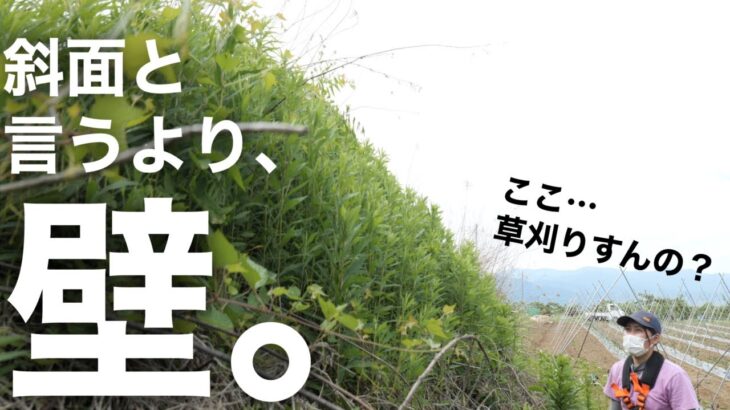 【ガチで？】どうやって急斜面すぎる草刈りをやっていく？