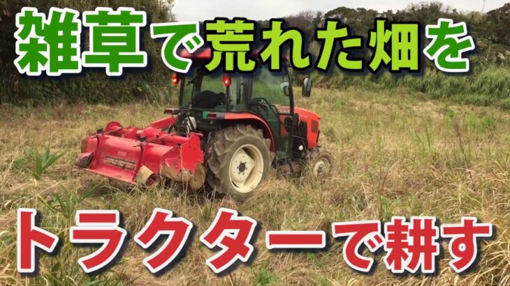 雑草だらけの畑をトラクターのロータリーで耕す