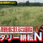 【耕作放棄地】雑草の生えた場所を畑に変えるには・・・