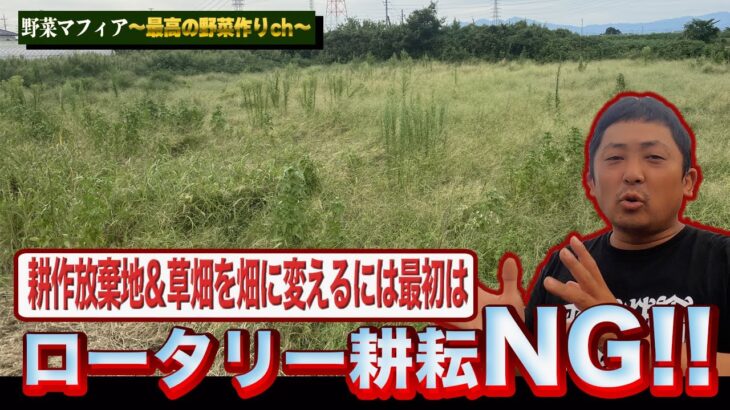 【耕作放棄地】雑草の生えた場所を畑に変えるには・・・