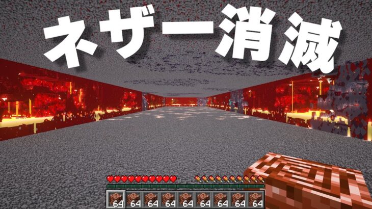 【マイクラ】古代の残骸を1万個集めようとした結果【たいち鯖】Part6