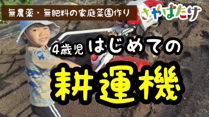 ヤッサン4歳耕運機デビュー！