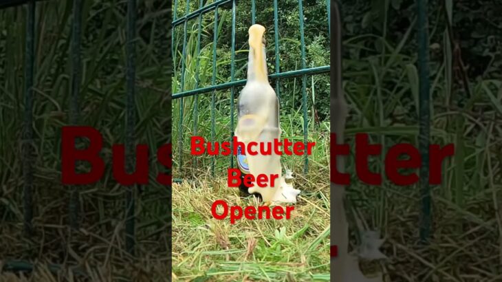 Beer open bushcutter #stihlusa FS450 #beer #lawnmower #beerbottle  #bottleopener  #beerbottle