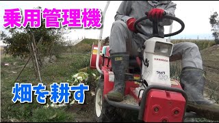 【家庭菜園】ヤンマー ウルトラポチ UP-2　春作に備えて耕した（耕運機）（YANMAR）（乗用）
