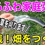 実践！自然農を目指してゆるく畑を作っていきます/ゆるふわ家庭菜園開墾記