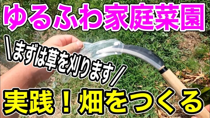 実践！自然農を目指してゆるく畑を作っていきます/ゆるふわ家庭菜園開墾記