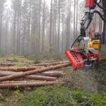 重機を使った木の伐採作業が凄い。まさに職人技。