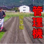 無農薬野菜作りの定番　一輪管理機　除草編  vol.1